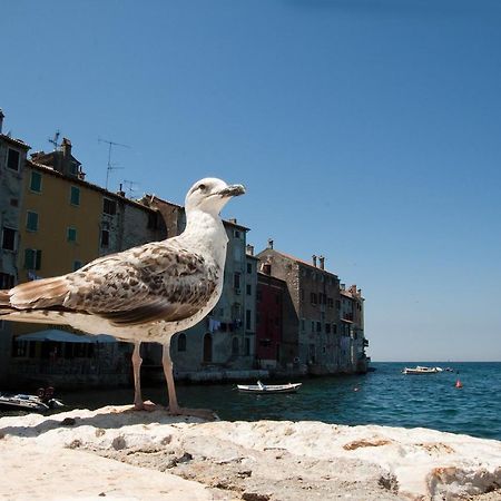 Maximus Rovinj Exterior foto