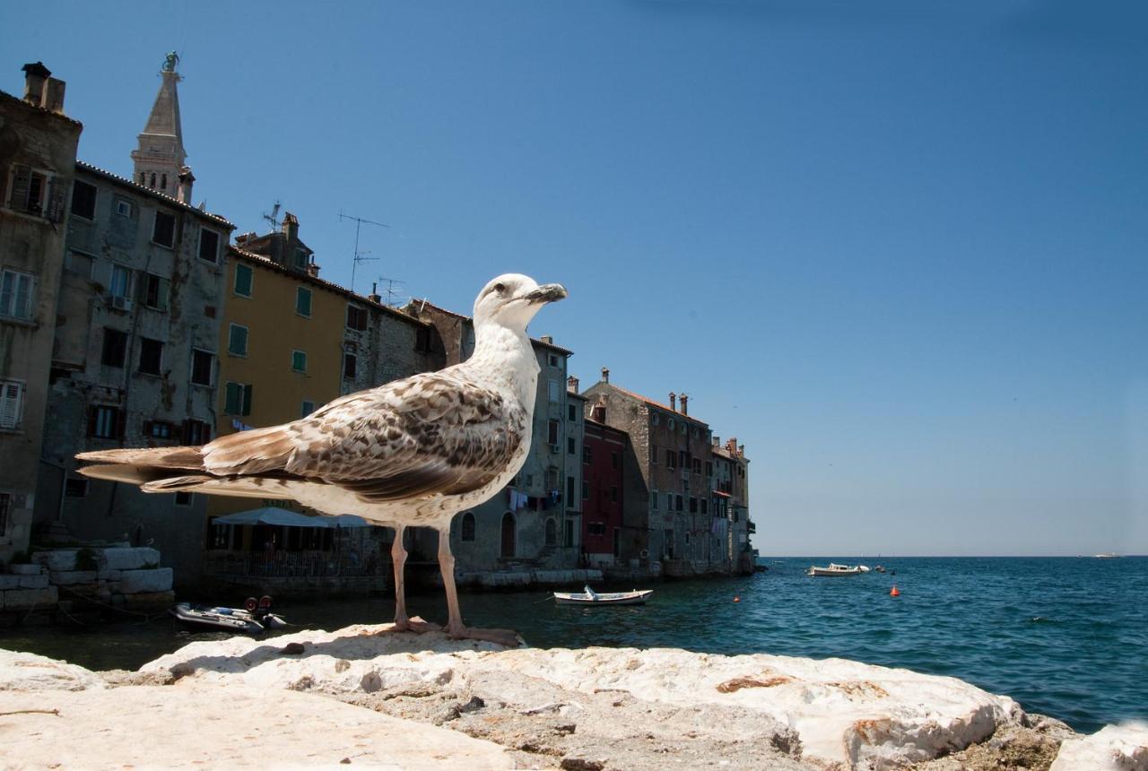 Maximus Rovinj Exterior foto